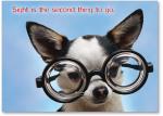 Doggie In Thick Glasses