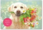 dog with flowers