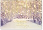 Snowy path