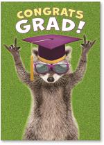 Raccoon in grad hat
