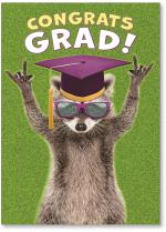 Raccoon in grad hat