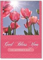 Sunlight streaming through pinkish red tulips
