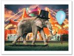 Elephant with top hat