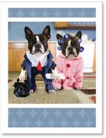 Dogs dressed like married couple